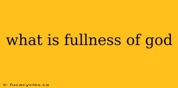 what is fullness of god