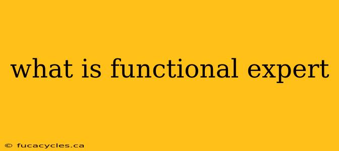 what is functional expert