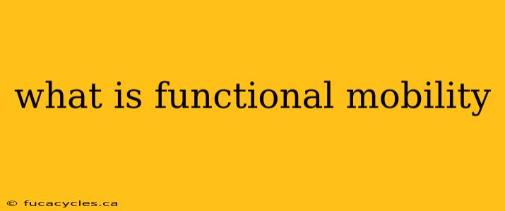 what is functional mobility