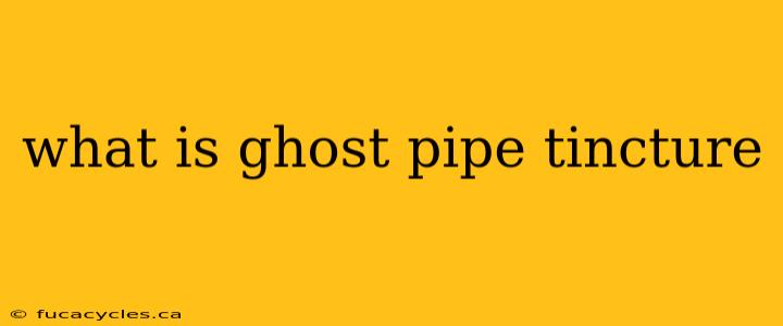 what is ghost pipe tincture