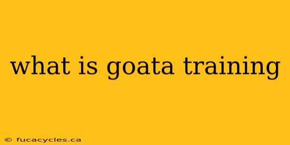 what is goata training