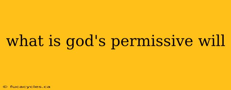 what is god's permissive will