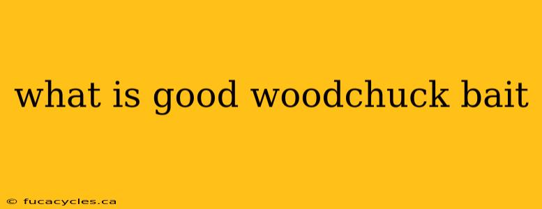 what is good woodchuck bait