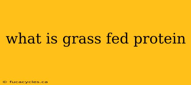 what is grass fed protein