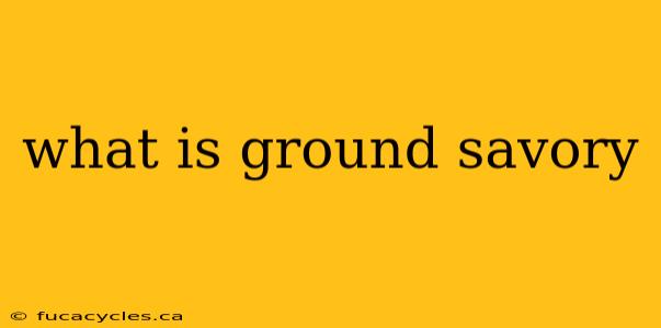 what is ground savory