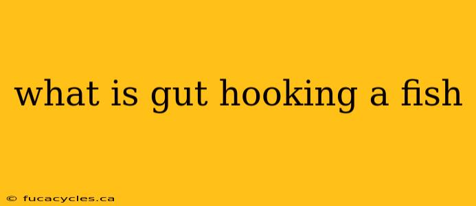 what is gut hooking a fish