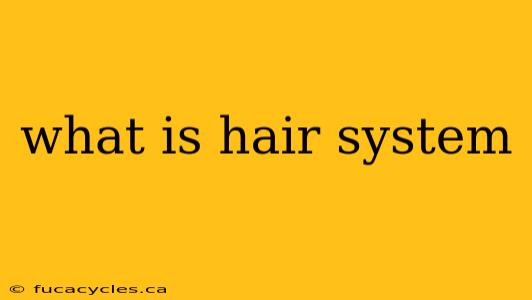 what is hair system