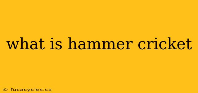 what is hammer cricket