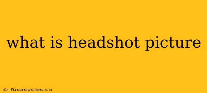 what is headshot picture