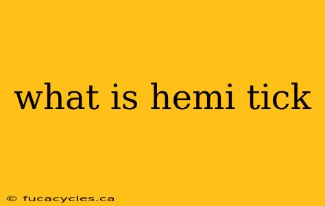 what is hemi tick