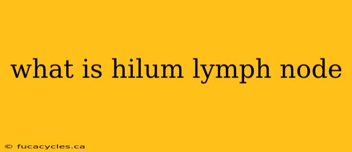 what is hilum lymph node