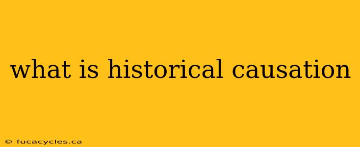 what is historical causation