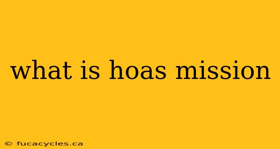 what is hoas mission