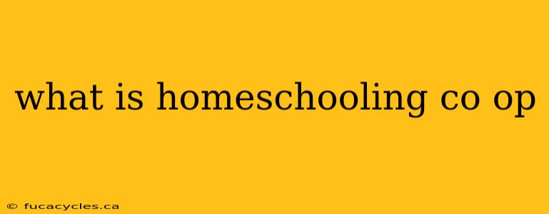 what is homeschooling co op