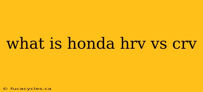 what is honda hrv vs crv