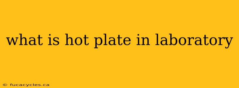 what is hot plate in laboratory