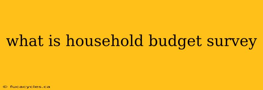 what is household budget survey