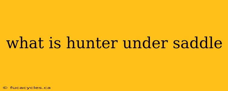 what is hunter under saddle