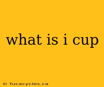 what is i cup