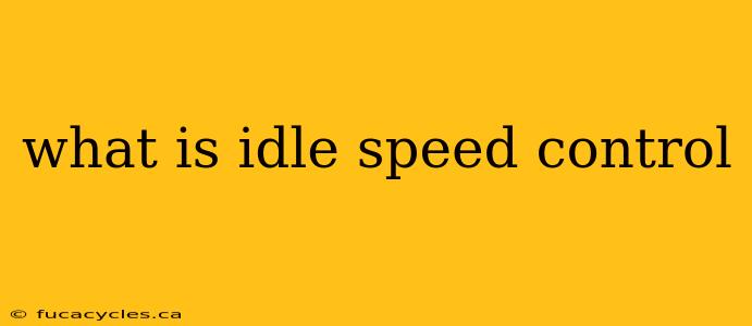 what is idle speed control