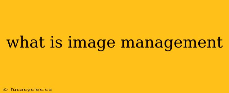 what is image management