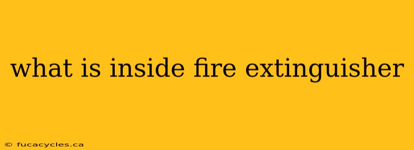 what is inside fire extinguisher