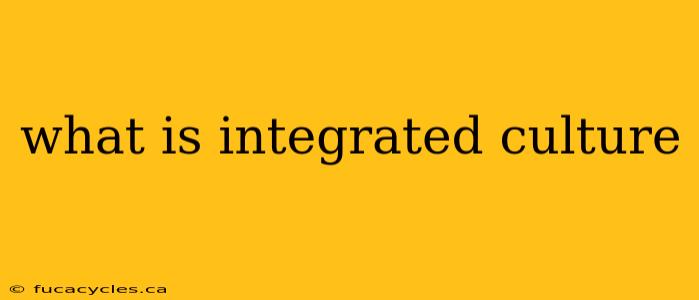 what is integrated culture