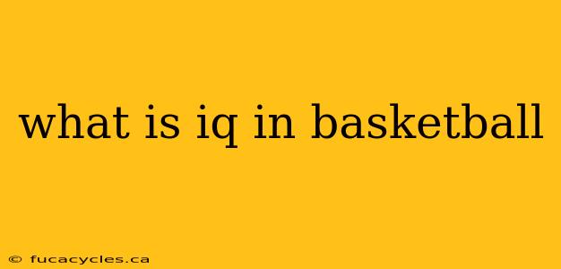 what is iq in basketball