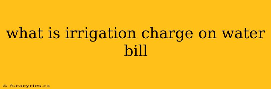 what is irrigation charge on water bill