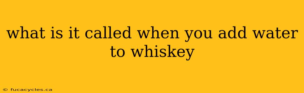 what is it called when you add water to whiskey