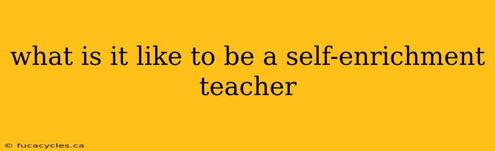 what is it like to be a self-enrichment teacher