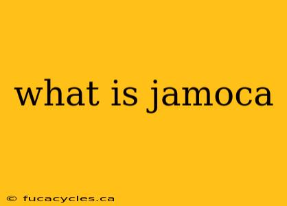 what is jamoca