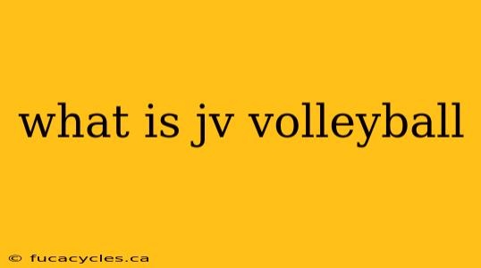 what is jv volleyball