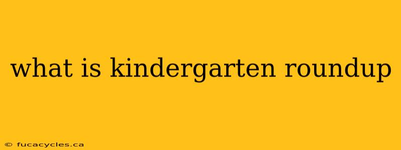 what is kindergarten roundup