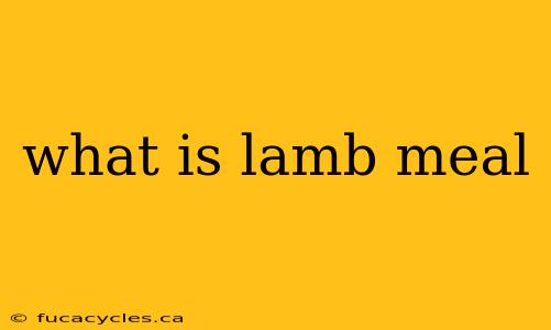 what is lamb meal