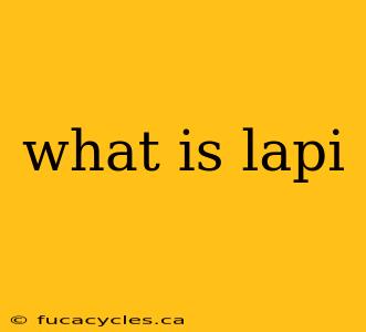 what is lapi