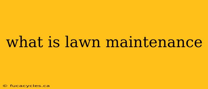 what is lawn maintenance