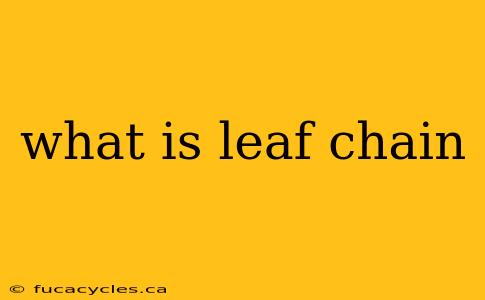 what is leaf chain