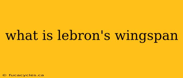 what is lebron's wingspan