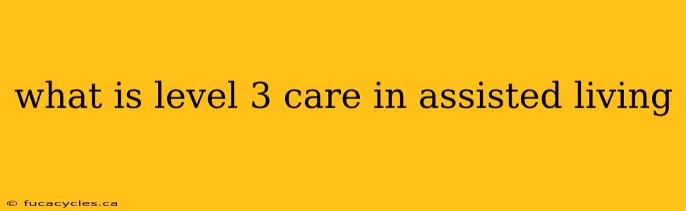 what is level 3 care in assisted living