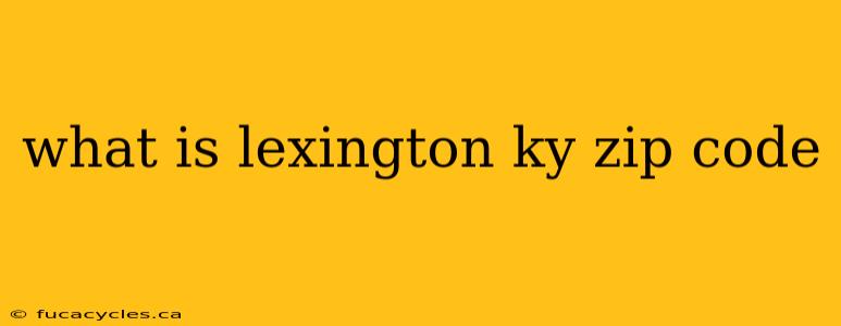 what is lexington ky zip code