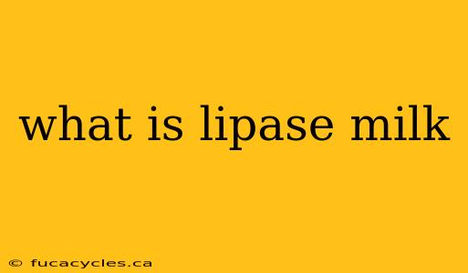 what is lipase milk