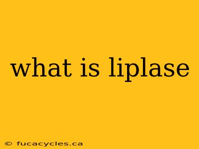 what is liplase