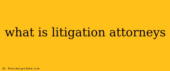 what is litigation attorneys