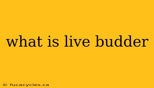 what is live budder