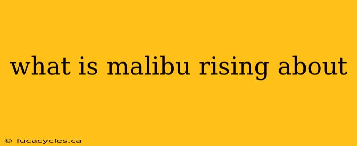 what is malibu rising about