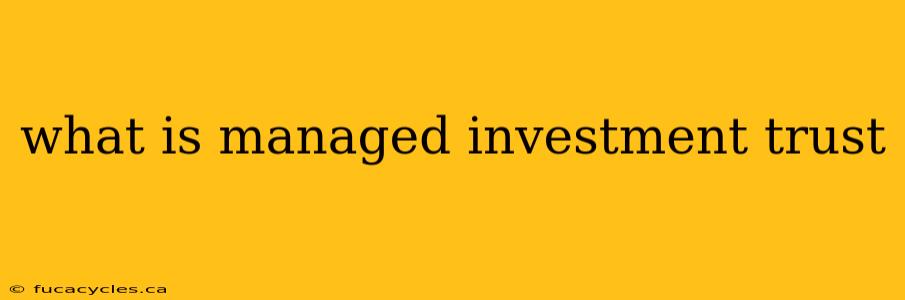 what is managed investment trust