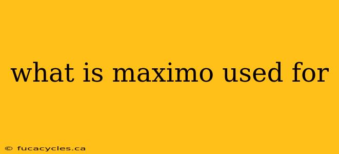 what is maximo used for