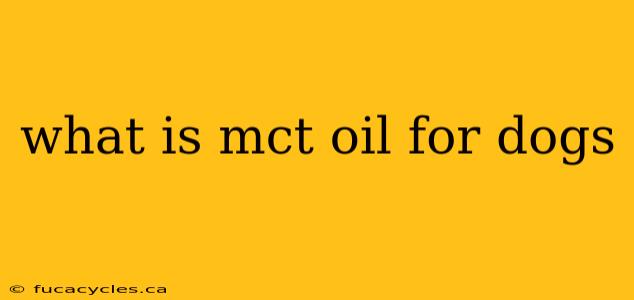 what is mct oil for dogs