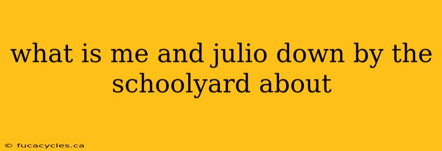 what is me and julio down by the schoolyard about